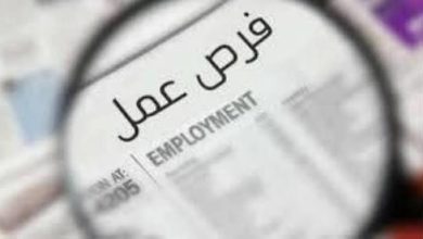 عقود العمل بالسعودية للمصريين 2026.. حقيقة دفع 120 ألف جنيه قبل رؤية العقد 7 وظائف جديدة في السعودية