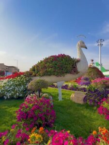 مهرجان الزهور والحدائق في ينبع.. 7 تجارب تجعل الوجهة مثالية للعائلات خلال أمسيات الصيف 2 مهرجان الزهور والحدائق في ينبع