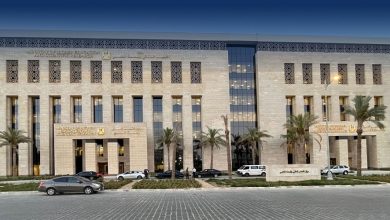 وزارة التعليم العالي والبحث العلمي المصرية