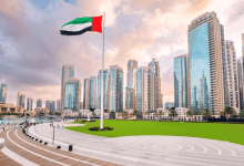 انتهاء صلاحية الفيش الجنائي للإمارات