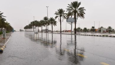 طقس السعودية اليوم.. أمطار رعدية ورياح مثيرة للأتربة في عدة مناطق 2 أمطار