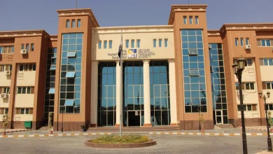 8 مزايا تجعل الجامعات التكنولوجية في مصر بديلًا جديدًا بعيدًا عن التنسيق التقليدي 17 الجامعات التكنولوجية - أرشيف