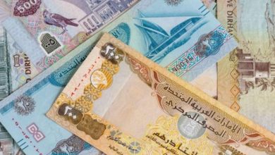 أسعار العملات الخليجية اليوم أمام الجنيه المصري.. الريال والدرهم والدينار في آخر تحديث رسمي 6 الدرهم الإماراتي