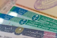 قبل السفر إلى السعودية.. هل تؤثر غرفة إصدار التأشيرة على سرعة تحويل الطلب لمستند؟ 2 تأشيرة 3