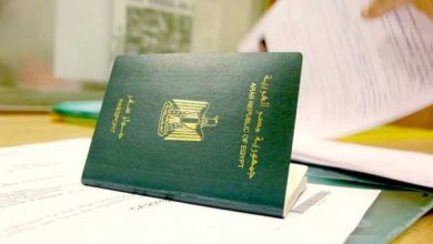 إصدار جوازات المصريين بالخارج في نحو 5 أيام.. أين طُبقت الخدمة؟ 6 جواز