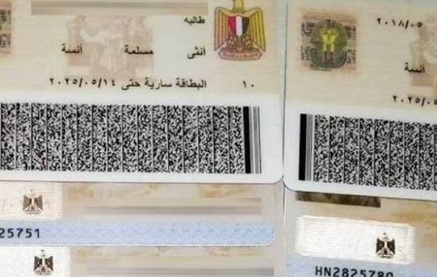 تعديل بيانات بطاقة الرقم القومي قبل السفر للخارج.. الإجراءات والمستندات المطلوبة 2 شششش