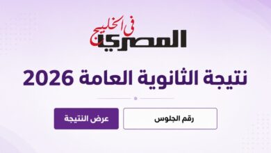 نتيجة