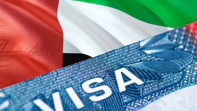 نسبة قبول تأشيرة الزيارة إلى الإمارات