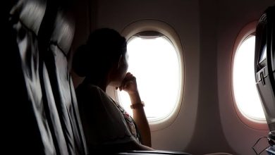 العودة من مصر إلى السعودية