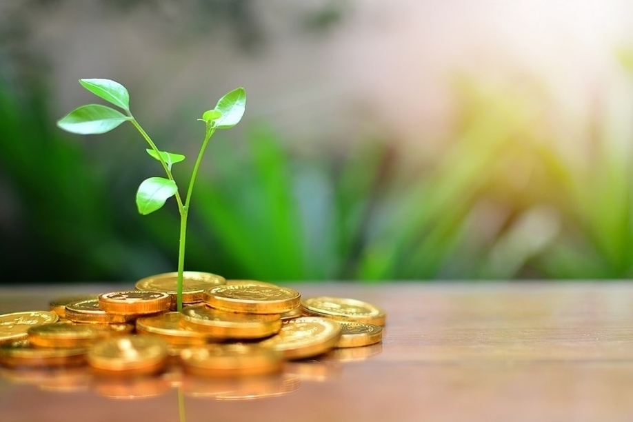 أفضل طرق استثمار 15 ألف ريال قبل العودة إلى مصر