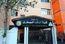 تنسيق الطب البيطري 2026