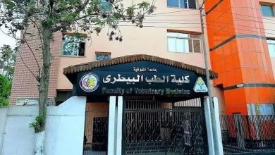 تنسيق الطب البيطري 2026