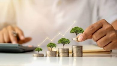 أفضل طرق استثمار 15 ألف ريال قبل العودة إلى مصر