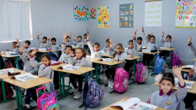 المنهج الدراسي الجديد في قطر 2026