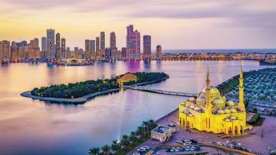 إقامة مستثمر في الشارقة للمصريين.. وهل توجد قيود عامة على الإقامات؟ 4 WhatsApp Image 2026 08 29 at 1.53.41 PM
