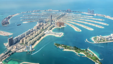 الإمارات تصدر أكثر من 5 ملايين إذن دخول خلال 6 أشهر للمقيمين