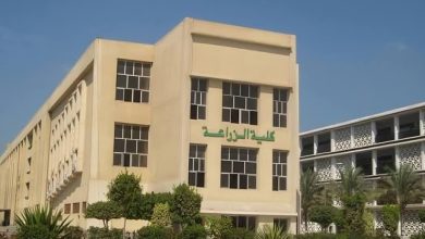 تنسيق كلية الزراعة 2026