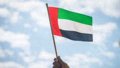 إقامات مصريين في الإمارات
