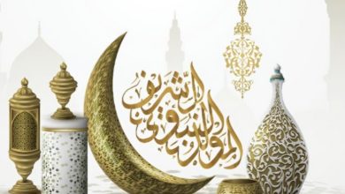المولد