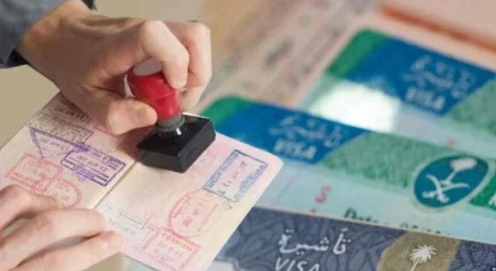 تأشيرة عامل منزلي أم سائق خاص في السعودية 2026؟ المميزات والعيوب وإمكانية تغيير المهنة 1 تأشيرة 2 1