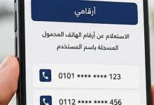 خدمة أرقامي عبر تطبيق My NTRA