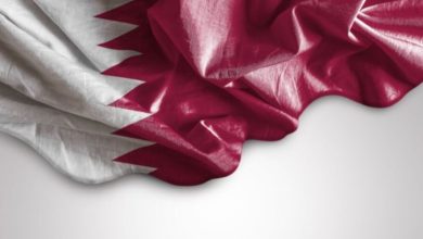 قططط 1
