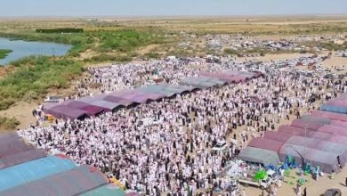 1600 ذبيحة و200 جمل.. تفاصيل عرس نجلي شيخ عشيرة في جنوب العراق 4 أكبر عرس في العراق