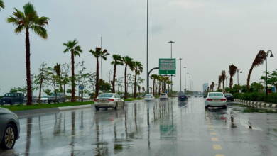 أمطار غزيرة بجازان.. تحذيرات الدفاع المدني وخريطة المحافظات المتأثرة 4 أمطار غزيرة بجازان