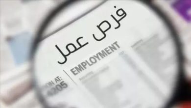 وظائف وزارة العمل في مصر