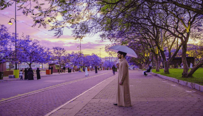 طقس السعودية اليوم
