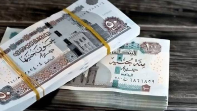 موعد صرف مرتبات سبتمبر 2026 في مصر.. وقيمة الزيادة الجديدة 7 موعد صرف مرتبات سبتمبر - تعبيرية