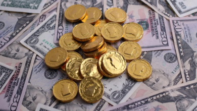 سعر الدولار اليوم في مصر