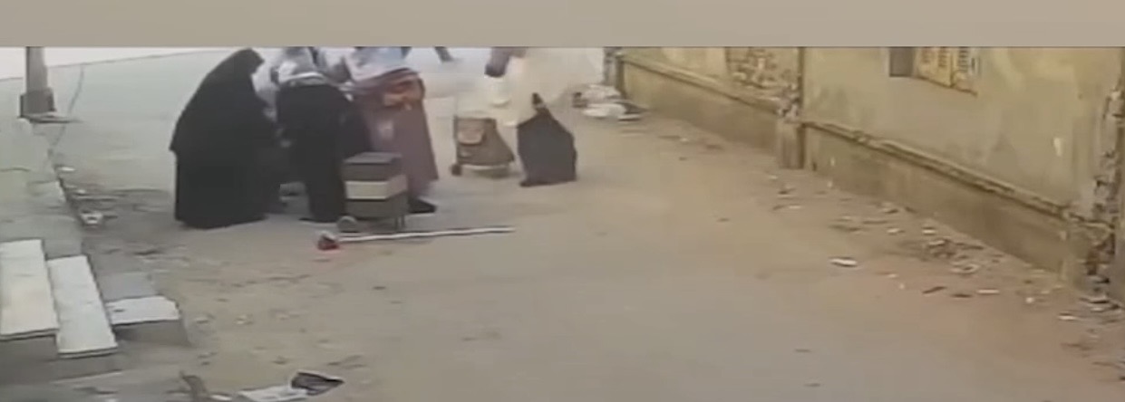 حيلة «الإغماء» لسرقة الذهب.. 4 سيدات يستهدفن مسنة بمشغولات قيمتها 120 ألف جنيه 4 IMG 2937 878 042946