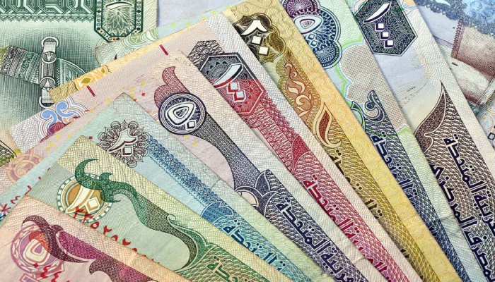 السفر إلى الإمارات بالأموال.. متى يجب الإفصاح عن المبالغ النقدية في المطار؟ 2 السفر إلى الإمارات بالأموال