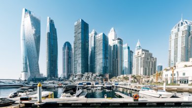 الاستعلام عن حالة التأشيرة والإقامة في الإمارات 2026