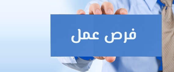 وظائف وزارة العمل في مصر.. 150 فرصة برواتب تصل إلى 13 ألف جنيه 2 وظائف وزارة العمل في مصر