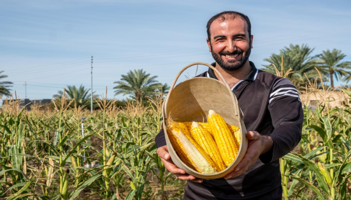العراق يصرف 500 مليار دينار من مستحقات المزارعين خلال سبتمبر