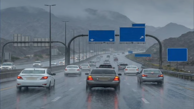 أمطار رعدية وضباب وغبار في سلطنة عمان