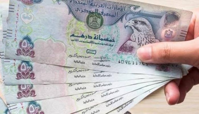 تحويل الدرهم الإماراتي إلى الجنيه المصري اليوم