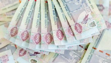 أسعار تحويل الأموال من الإمارات إلى مصر اليوم
