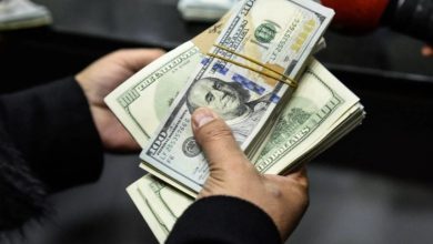 معاش المصريين بالخارج 2026.. شروط الاشتراك وطريقة سداد التأمينات وقيمة المعاش 5 معاش
