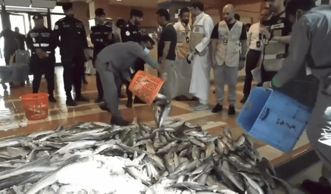 ضبط 773 كيلوغراماً من الأسماك الفاسدة في الكويت.. حملة رقابية واسعة بالأحمدي 2 ضبط الأسماك الفاسدة في الكويت