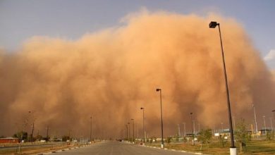 العراق يتحرك نحو الأردن وسوريا لمواجهة العواصف الترابية.. مشروع بيئي وتمويل دولي 5 articles 24333 112621041003457 1x