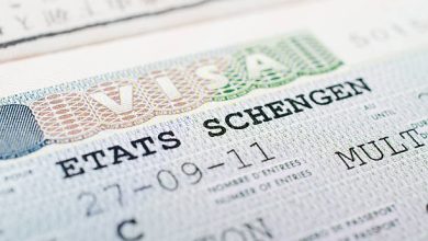 istockphoto 463402861 612x612 1
